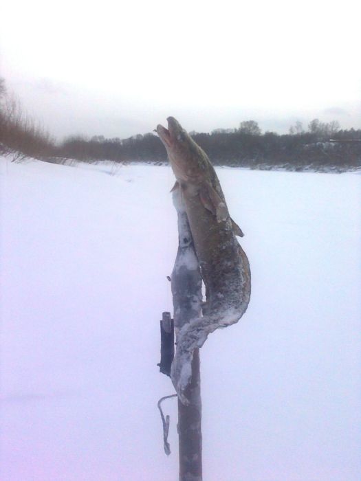 На ине. 2.12.12.