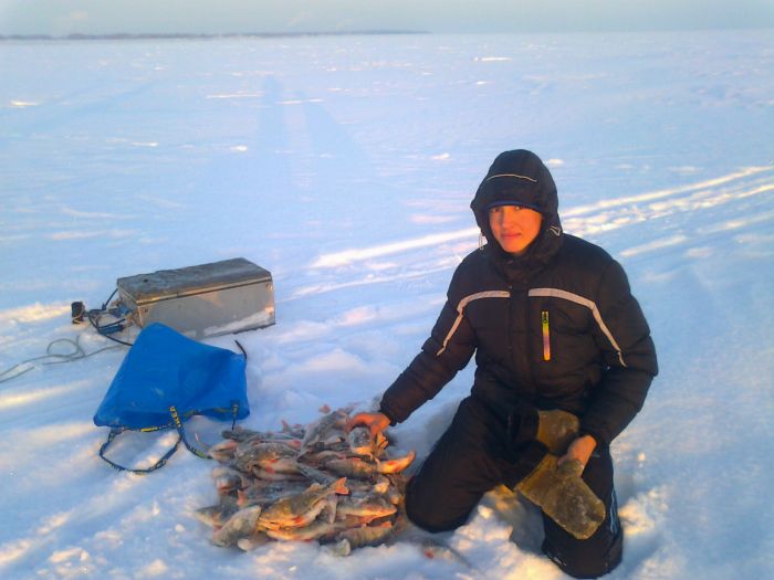 полная сумка