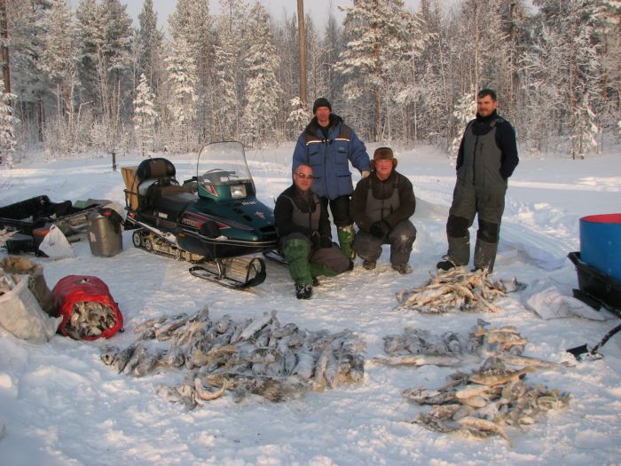 Глухозимье
