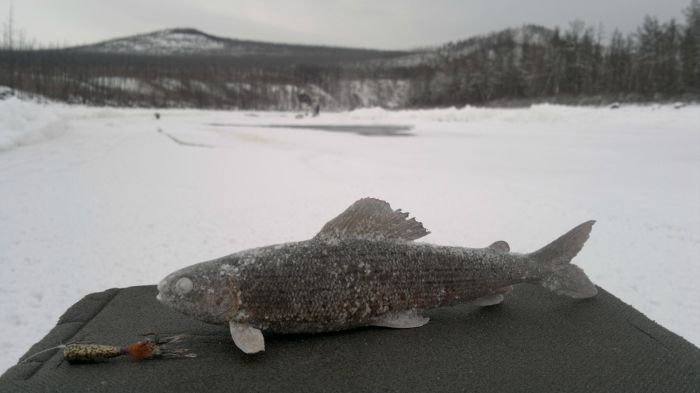 р.Витим
