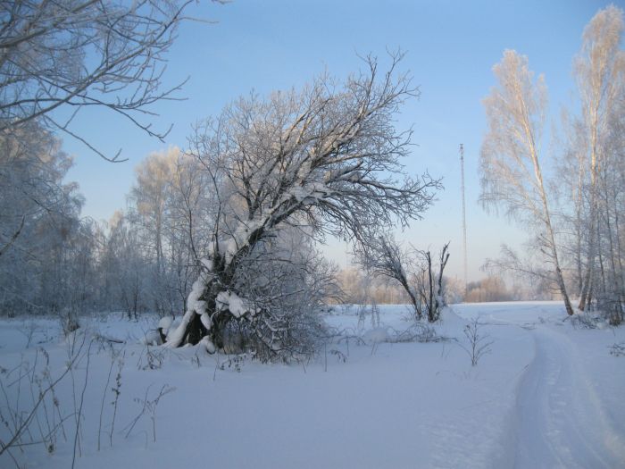 Окрестности поселка "Радуга" .
