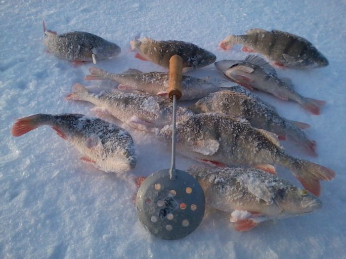 Сезон 2013 открыл. доволен.