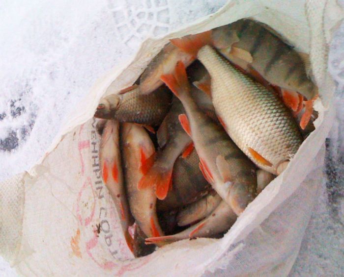 море
