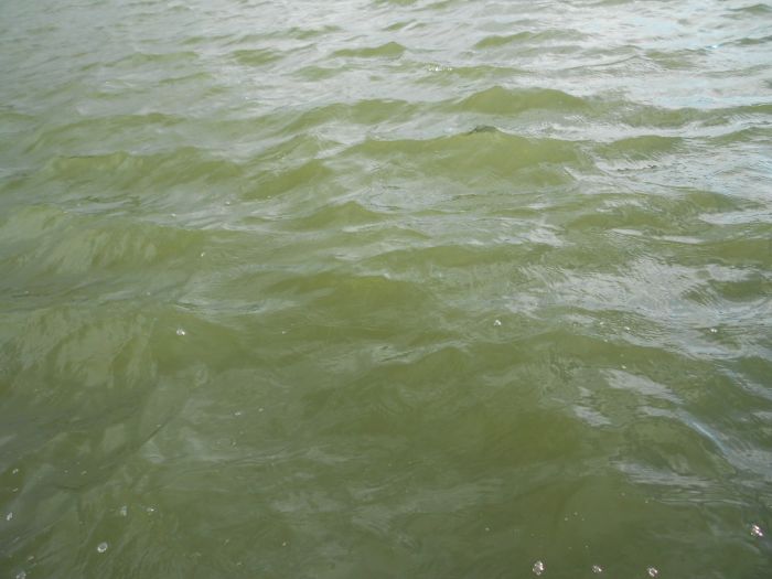 вода