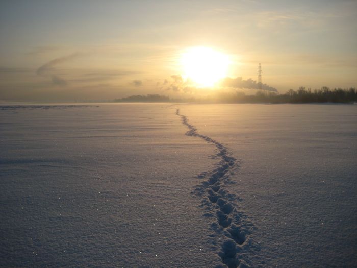 Одинокий след.