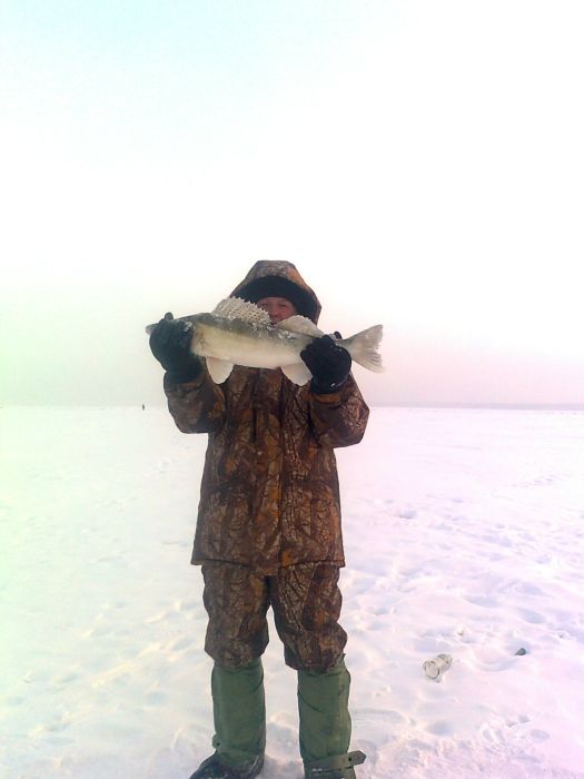 обское водохранилище