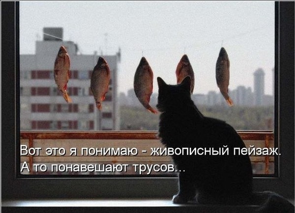 Котэ