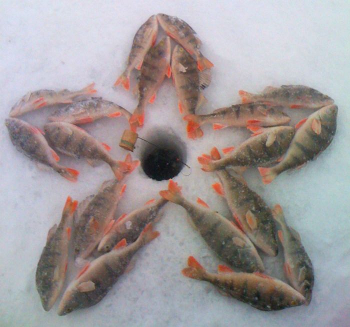 ОВХ Глухозимье...