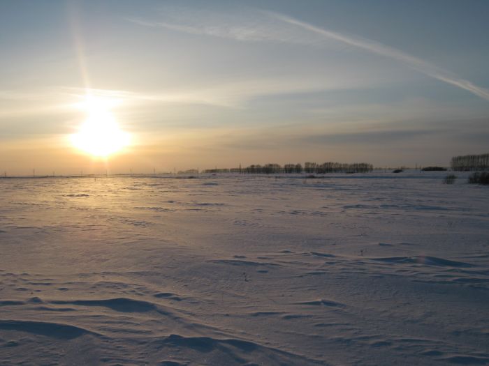 Снежное безмолвие