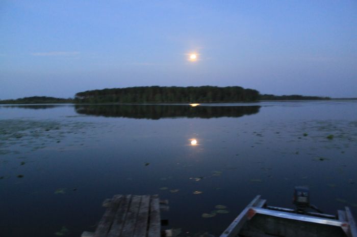 Сумерки