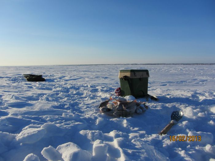 В районе Насоски, рыбка есть, но вредничает