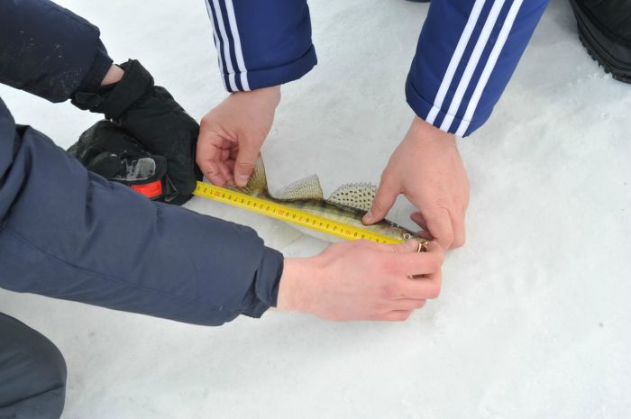 чемпионат НСО по ловле на мормышку