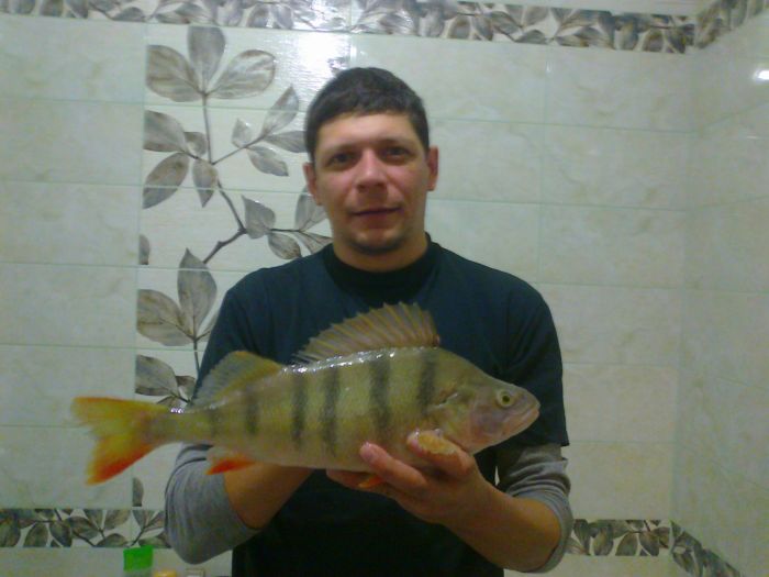 Дома