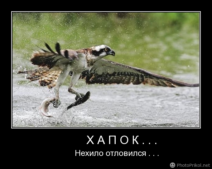 " Х А П О К "...