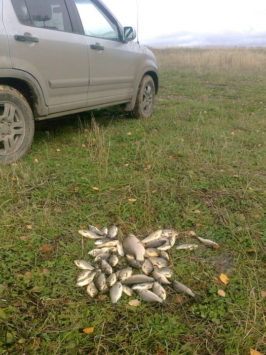 Летние будни