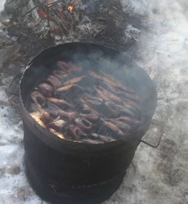а еще и с щукой, чебаком и окунем