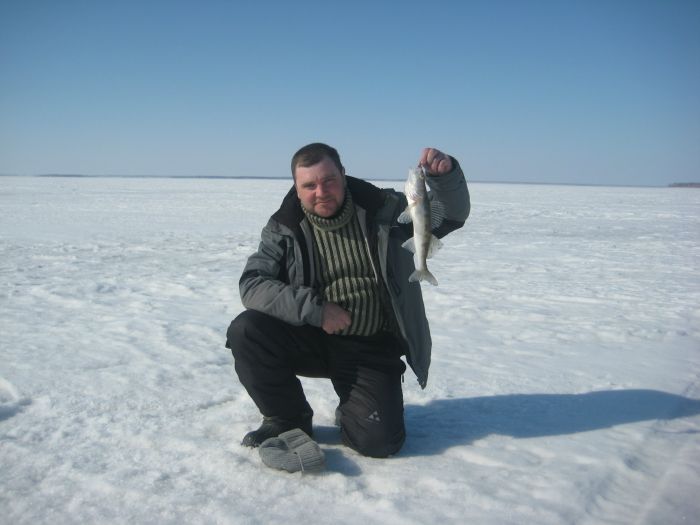 Быстровка