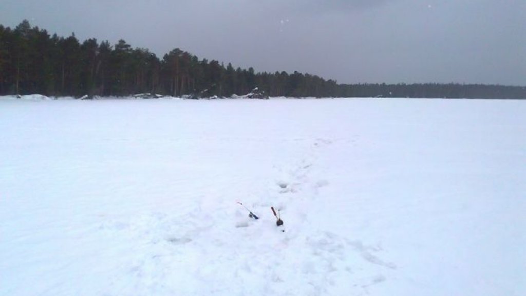 Чертаны