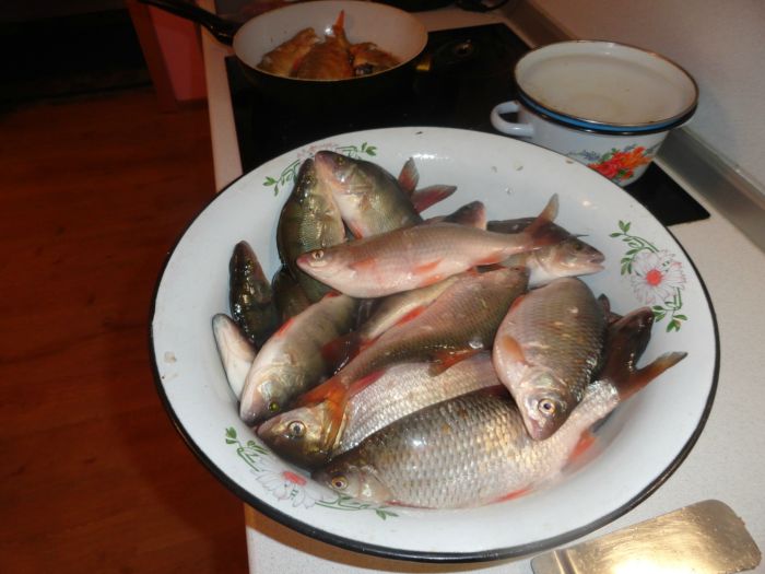 Рыбка с Борового