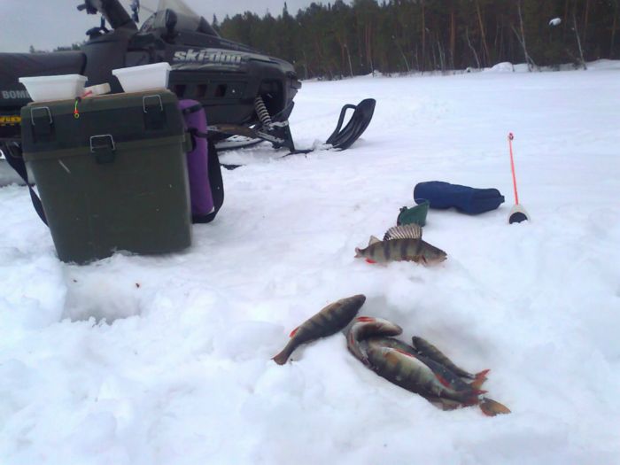 Б. Чертаны