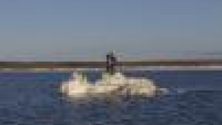Уплывших на льдине в Кемерове до сих пор не нашли
