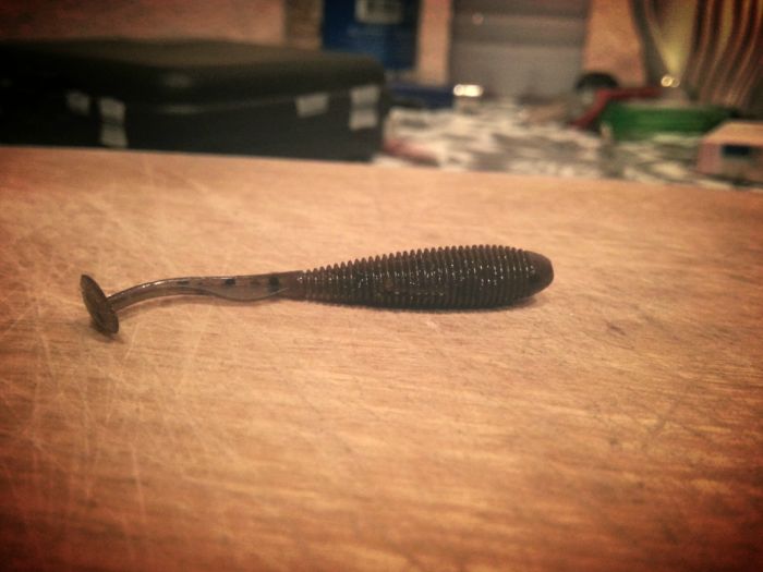 Molix RA Shad