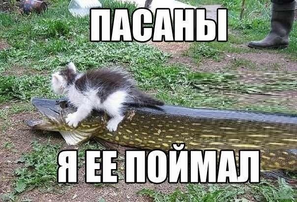 ***