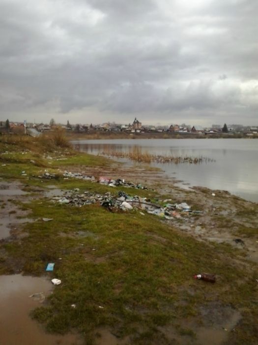 Красота
