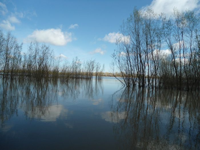Весна.Район Белоярки 9.05. 2013