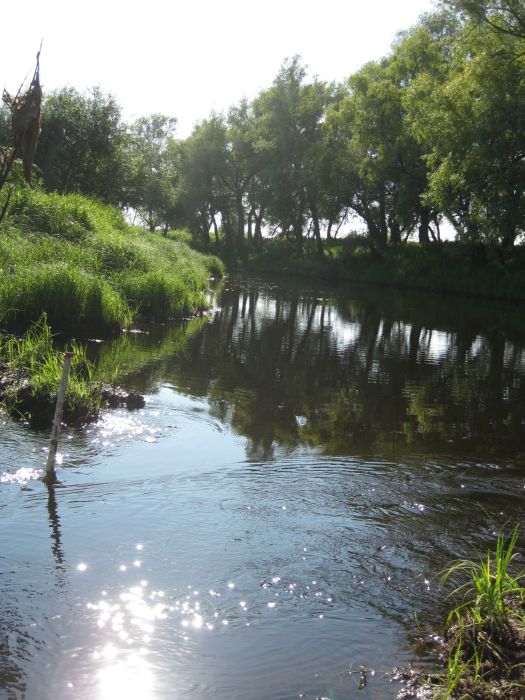 По родным местам