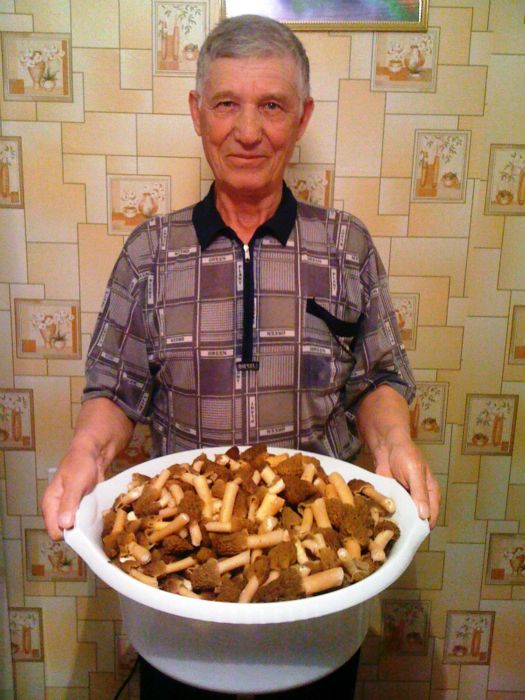 Лесная радость...! Торчки..))