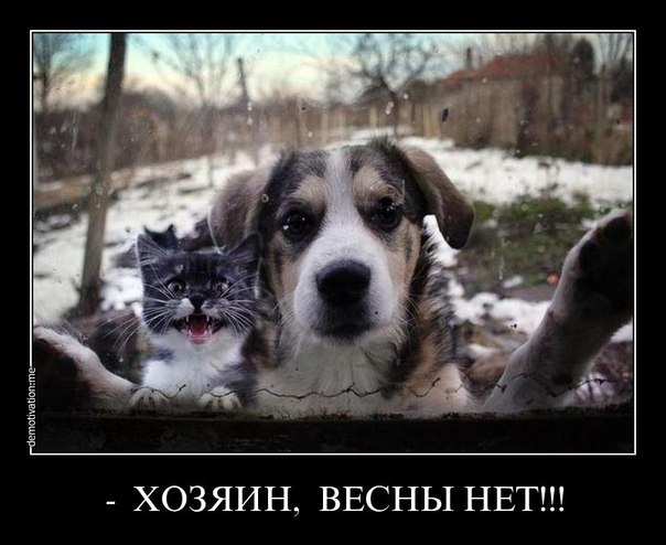 Весны нет!