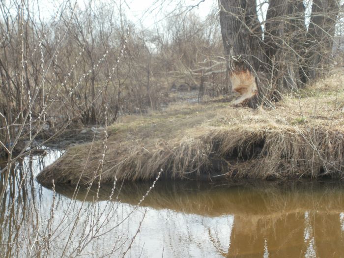 Работа Бобров.