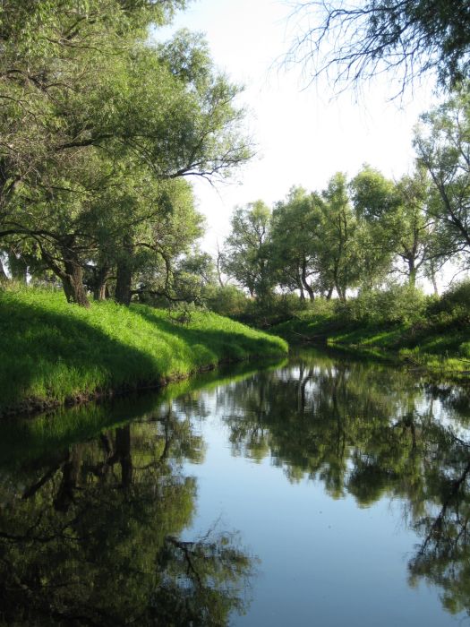 Старица.