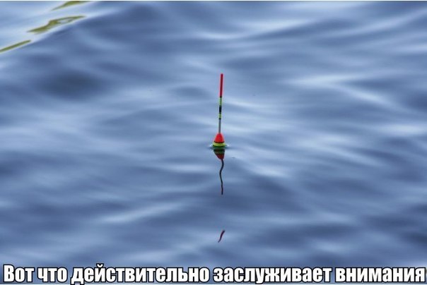 действительность)))