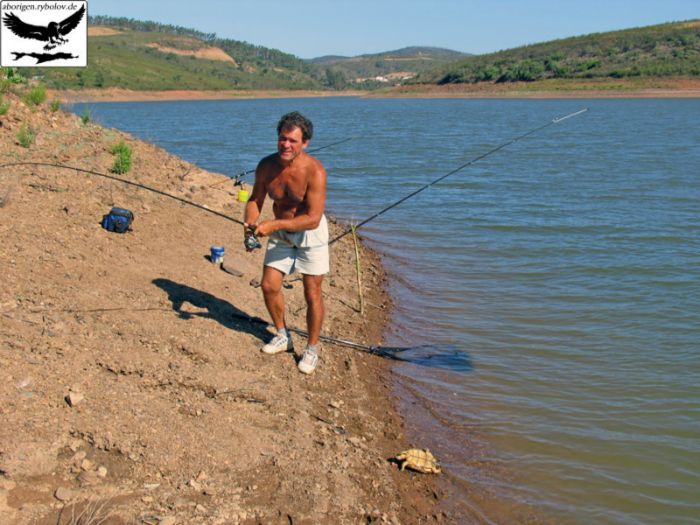 Вместо ухи - суп из черепахи...