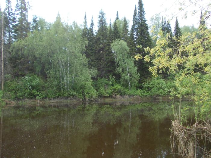 река Бакса