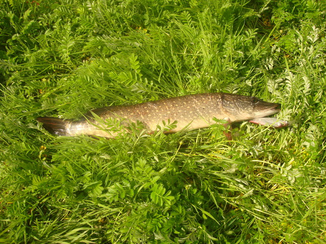 Сегодня.