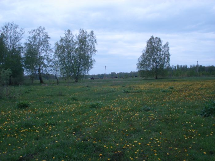 Родные просторы ...