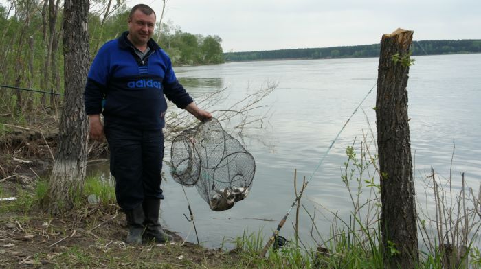 Не много на уху