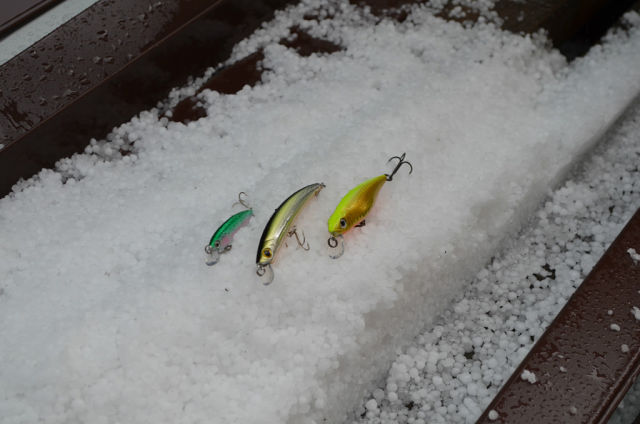 Сегодня 12 июня 2013