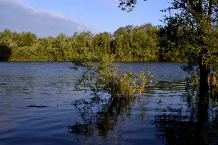 Вода прибывает