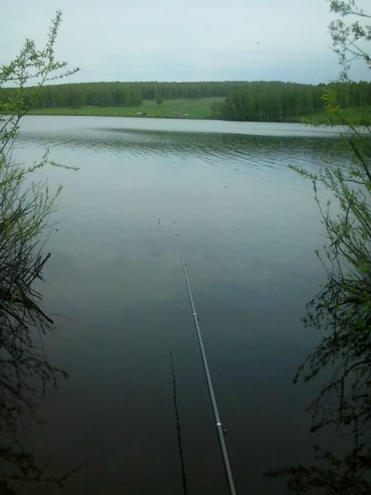 Участок Балта