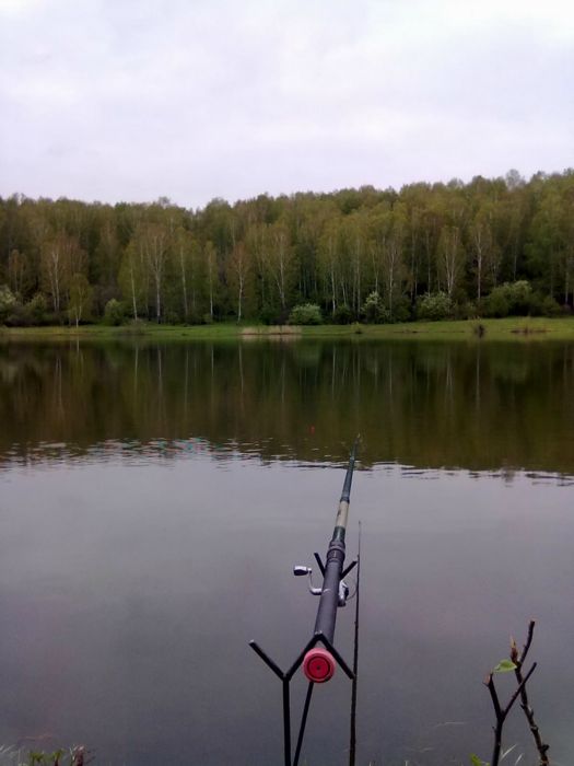 Быково