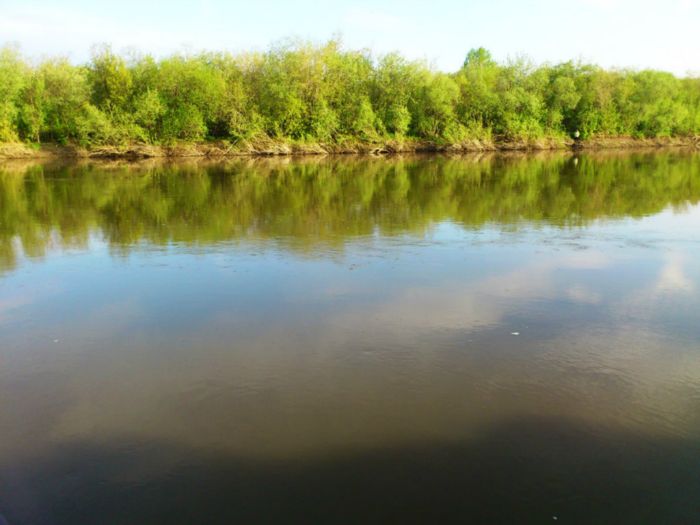 Иня. Плотниково. 08.06.2013.