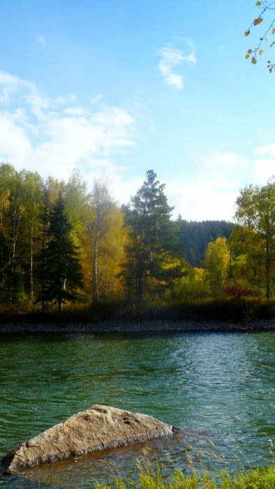 Чарыш