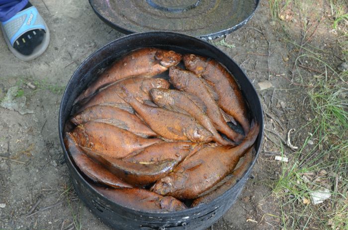 Чановский окушок