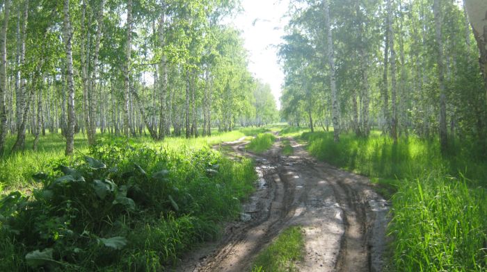 Дорога к реке Орда