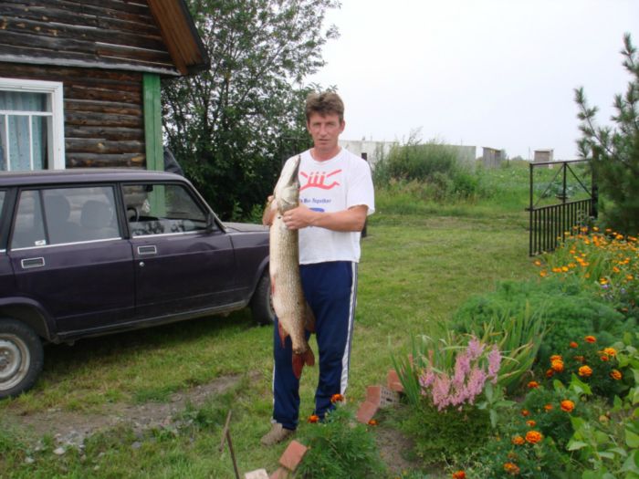 Водиться на Рыбачьем щучка.