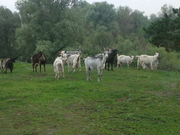 по дороге на рыбалку